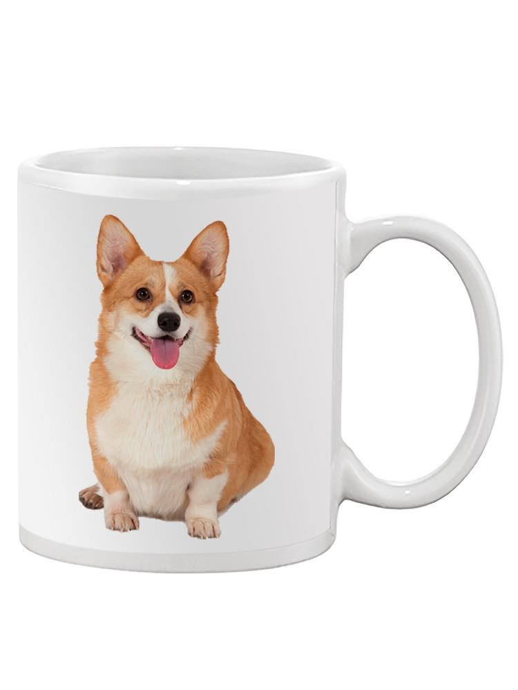 81827545