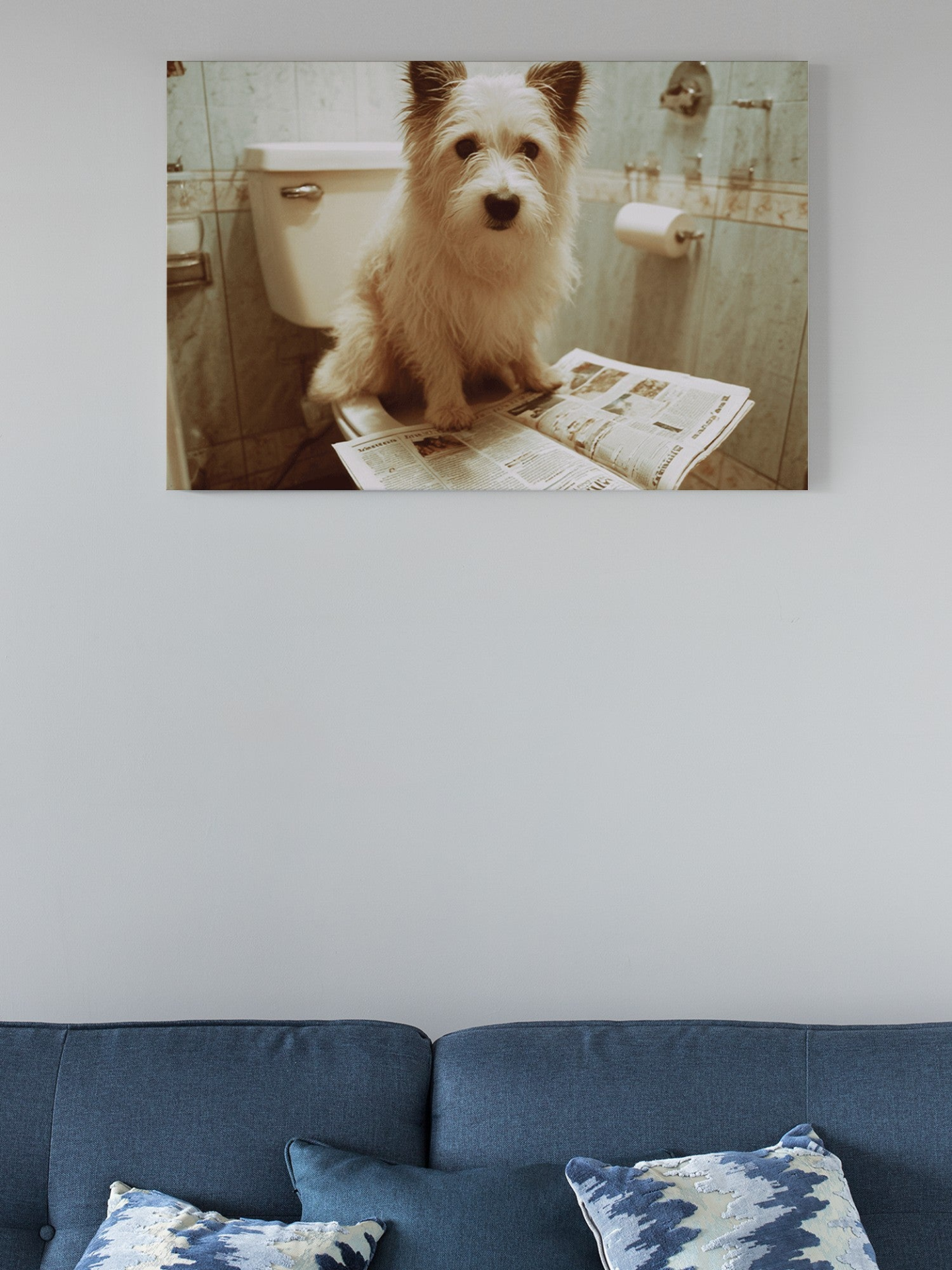 81829764