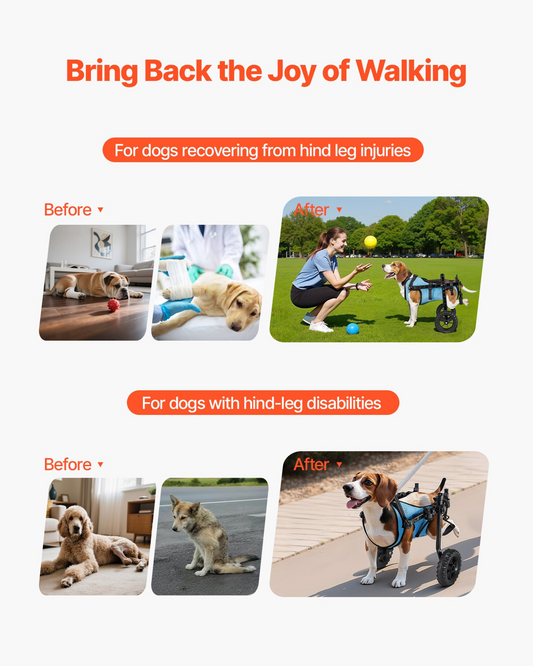 81822739
