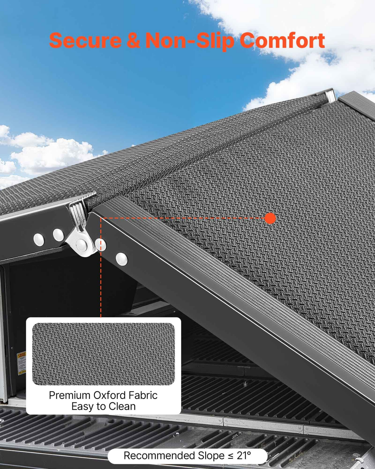 81820462