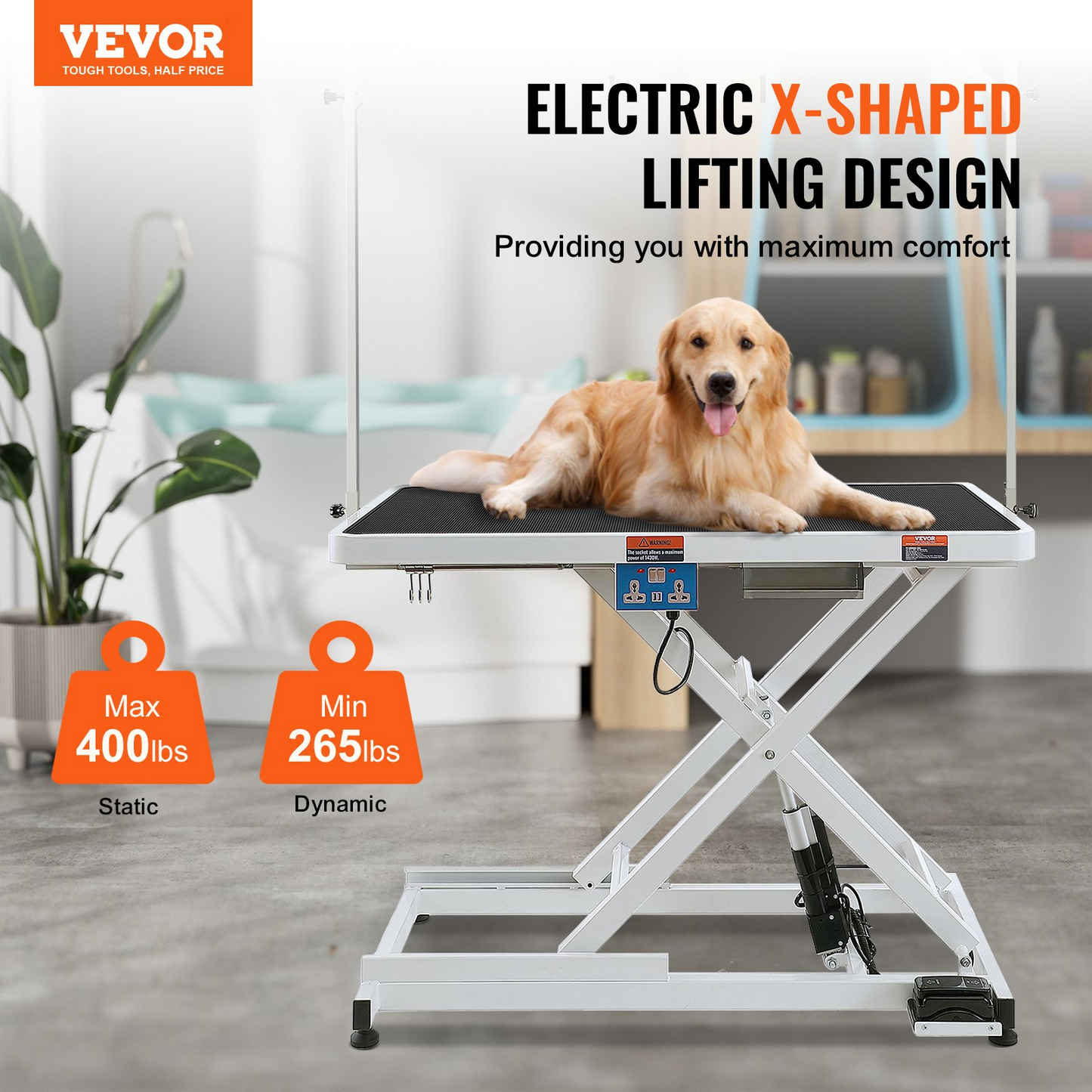 81810191
