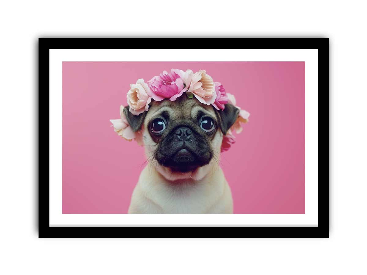81821856