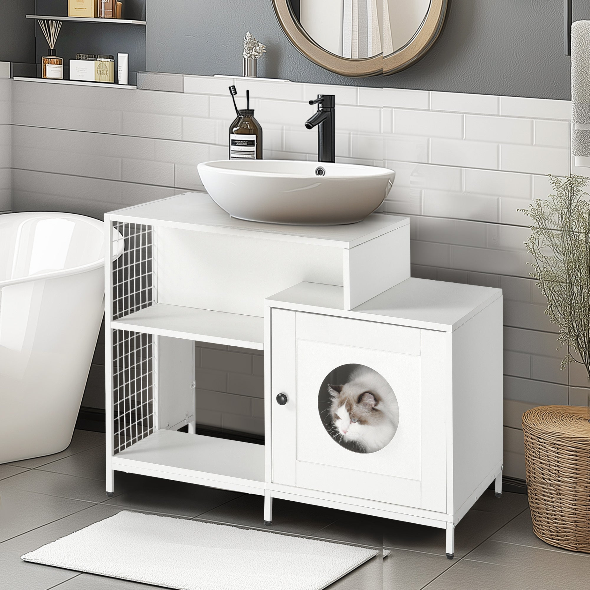 81820253