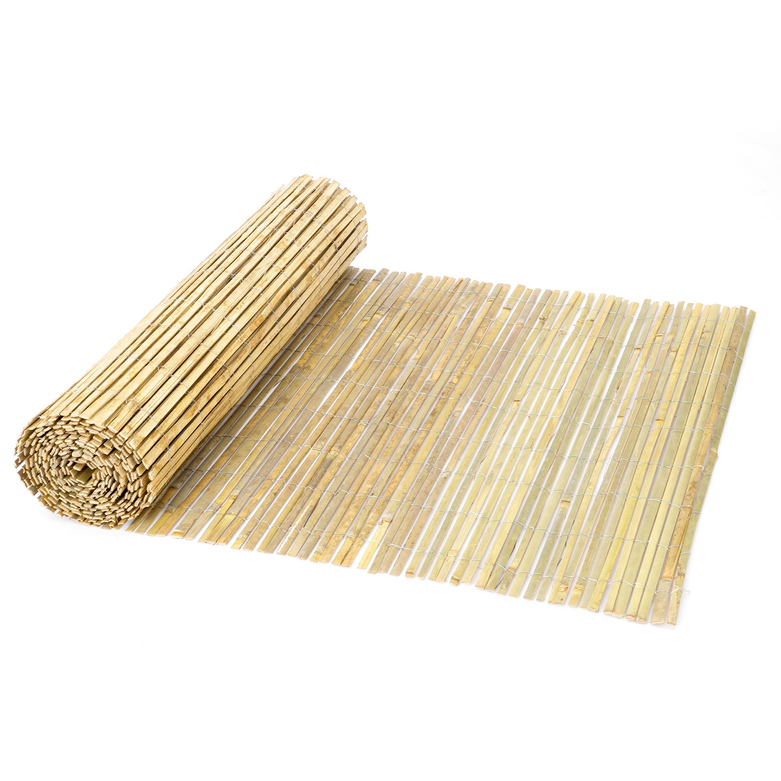 81838100