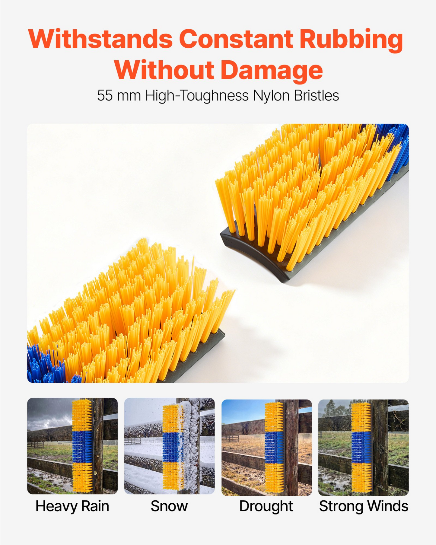 81820622